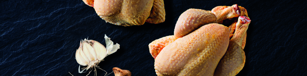 Produit du groupe Savel : Le coquelet jaune, une volaille gastronomique de qualité, tendre et savoureuse.